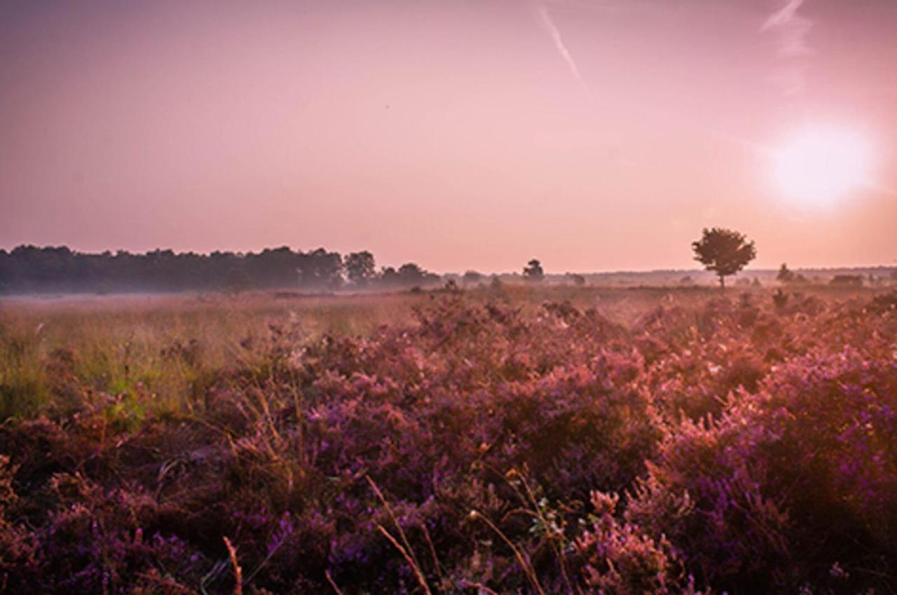 18 Persoons Veluwe Villa ฟัวร์เธาเซอ ภายนอก รูปภาพ